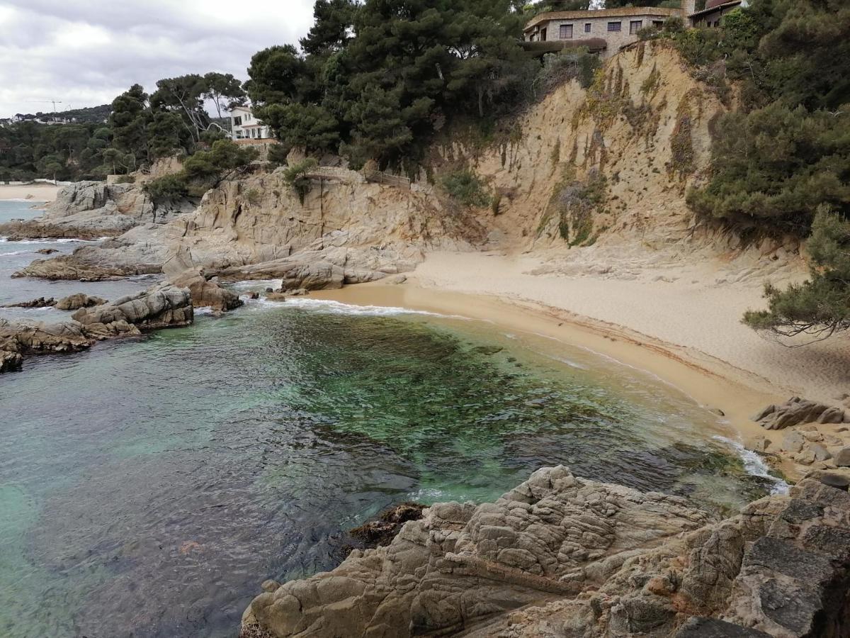 L'Estartit, Estudio En Primera Linea De Mar. المظهر الخارجي الصورة